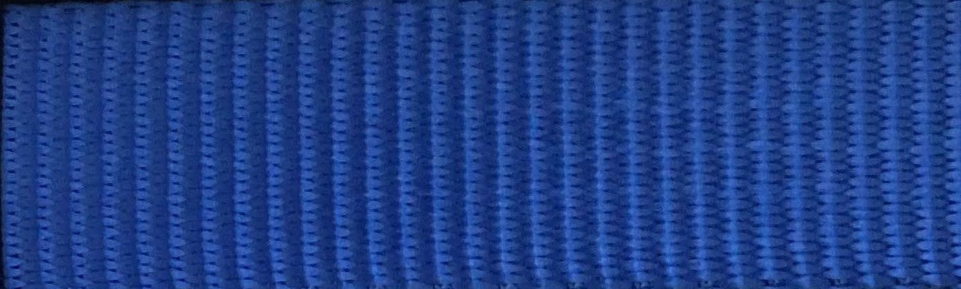 1" x 6 Ft. Tan Pet Leash w/Snap Hook and Comfort Hand Grip | PL106SSH - RatchetStrap.Com