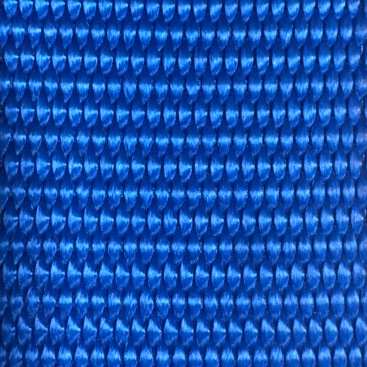 Blue Webbing RatchetStrap.com