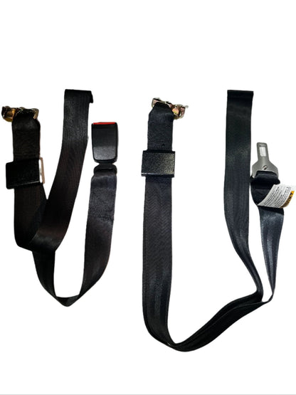 Standard Lap Belt for Series L Track Length: 98" | FE200594 - WheelchairStrap.com