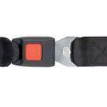 Titan Occupant Restraints, Integrated Lap Belts - 96" | AL700842 - WheelchairStrap.com