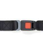 Standard Lap Belt for Series A Track Length: 98" | FE200601 - wheelchairstrap.com