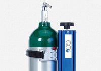 GO2 Standard Oxygen Tank Holder | FE201122 - RatchetStrap.com